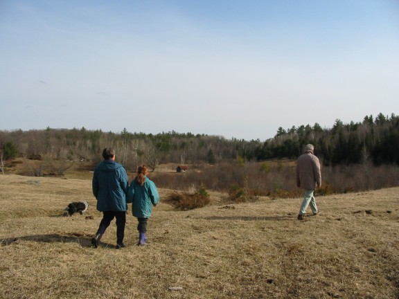 576x432 pixels (60K)